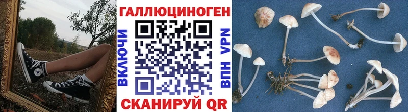 Псилоцибиновые грибы ЛСД  Ессентуки 