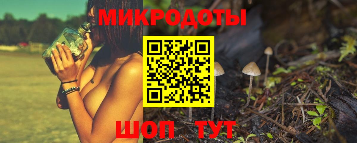 Псилоцибиновые грибы мицелий  где купить   Ессентуки  Вход с VPN 