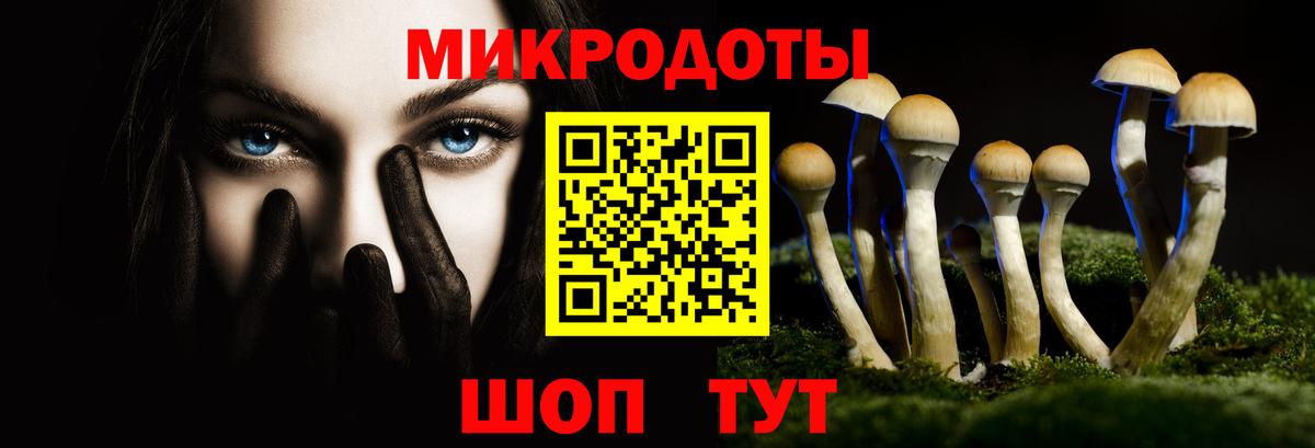 Галлюциногенные грибы ЛСД Ессентуки